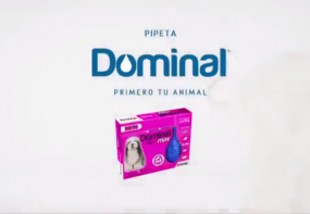 Dominal Pipeta - Voz de las perritas - Acting - TV